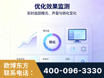 南京-优化效果监测