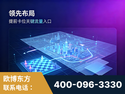 南京-领先布局：于2024年初开启GEO业务的公司
